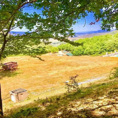 Marianna/sleeps 25/spoleto 7 Miles/rome 1 Hr וילה *