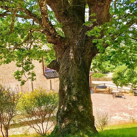 Marianna/sleeps 25/spoleto 7 Miles/rome 1 Hr Bazzano di Spoleto