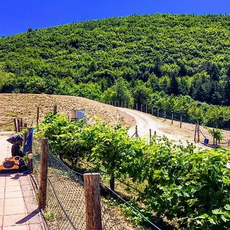 Marianna/sleeps 25/spoleto 7 Miles/rome 1 Hr וילה Bazzano di Spoleto