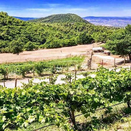 וילה Marianna/sleeps 25/spoleto 7 Miles/rome 1 Hr Bazzano di Spoleto